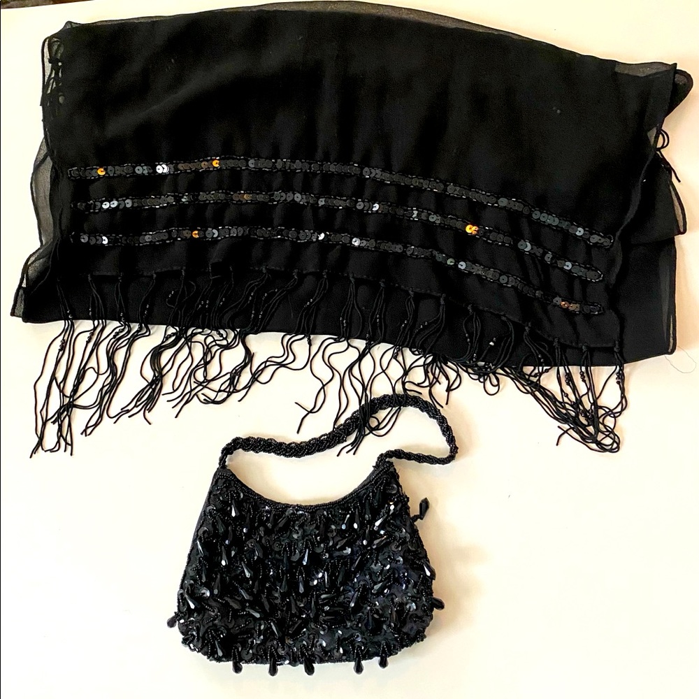 Bijoux Terner beaded evening bag and wrap set